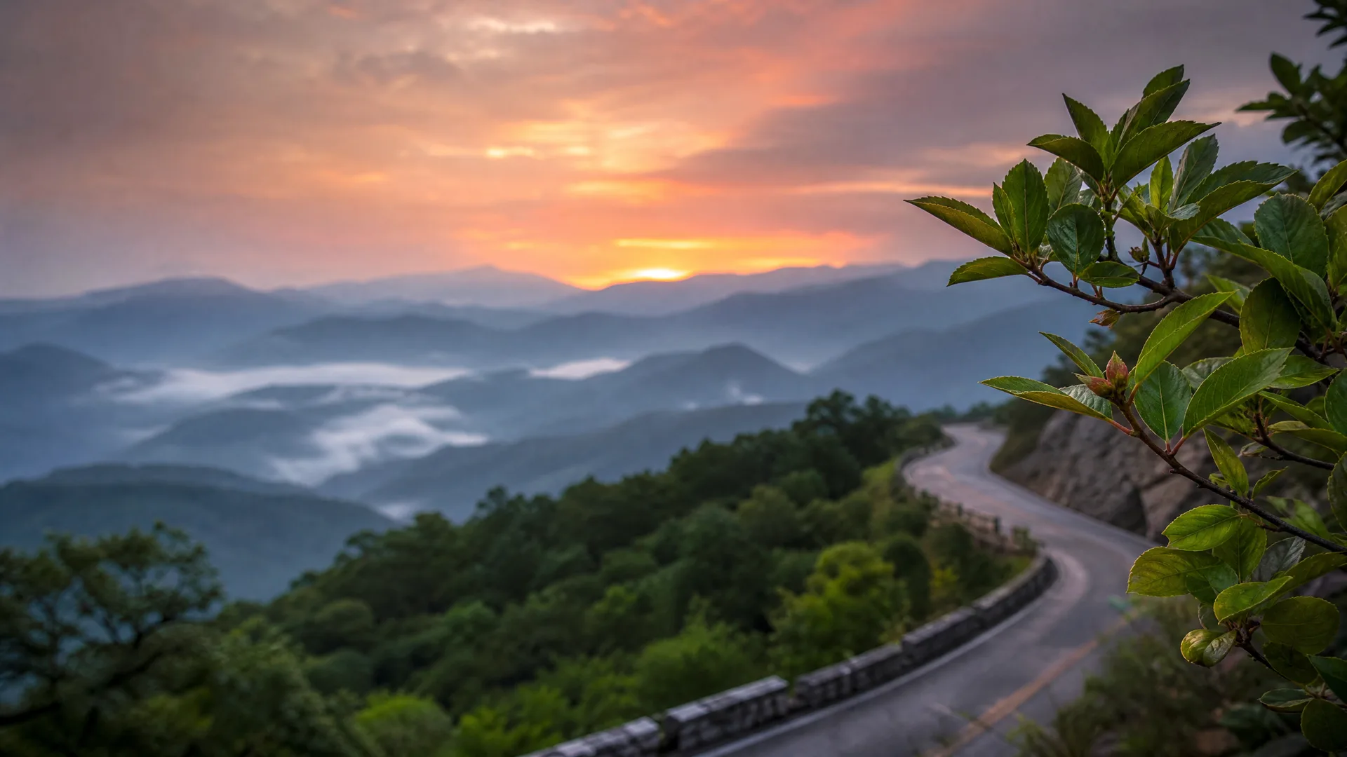 A winding paved mountain road with a low stone barrier curves along a forested ridge above layered misty hills at sunrise, with a leafy branch in the right foreground.